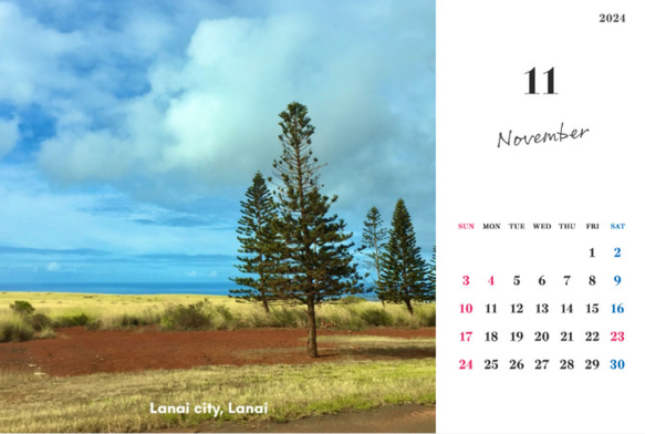 【ハワイからの贈り物】卓上カレンダー2024 ※受注生産 12枚目の画像