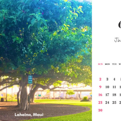 【ハワイからの贈り物】卓上カレンダー2024 ※受注生産 7枚目の画像