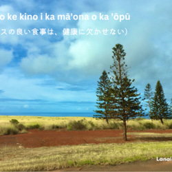 【ハワイからの贈り物】壁掛けカレンダー2024 ※受注生産 12枚目の画像