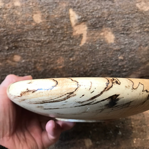 一点物スポルテッドのお皿20.4cm(D5) 中皿 NOA KOBO 通販 16914545  