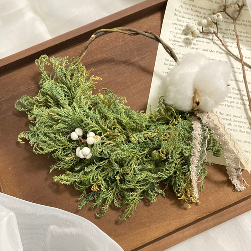 現品 ノグルミ リース ドライフラワーなど 特大苗 2.5mほど 山採り