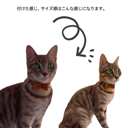 【卡其色x格子格紋】絲帶領貓咪項圈 第3張的照片