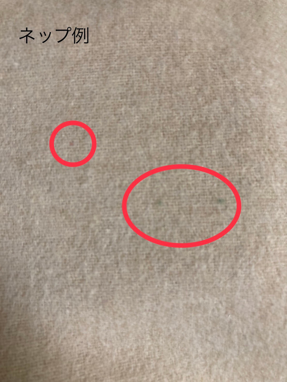  第7張的照片