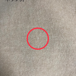  第6張的照片