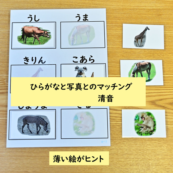 ひらがなのマッチングの学習セット　動物の写真編　ひらがなを読む学習に 2枚目の画像