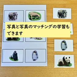 ひらがなのマッチングの学習セット　動物の写真編　ひらがなを読む学習に 8枚目の画像