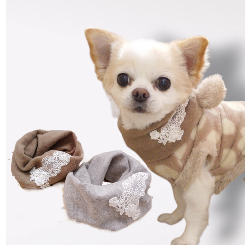 わんこスヌード　つけ襟マフラー　ハンドメイド　犬服 わんこスヌードつけ襟マフラーハンドメイド犬服