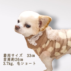 軽くてあったか☆受注製作あり☆犬のスヌードマフラーネックウォーマー/レース/小型犬中型犬男の子女の子 7枚目の画像