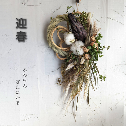 専用＊迎春2024 プロテア&コットン   正月飾り(ドライ) 迎春2024 プロテア&コットン 正月飾り(ドライ) しめ縄・しめ飾り