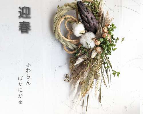 専用＊迎春2024 プロテア&コットン   正月飾り(ドライ) f213804f7ca9bc5e745ea4af47e3b7