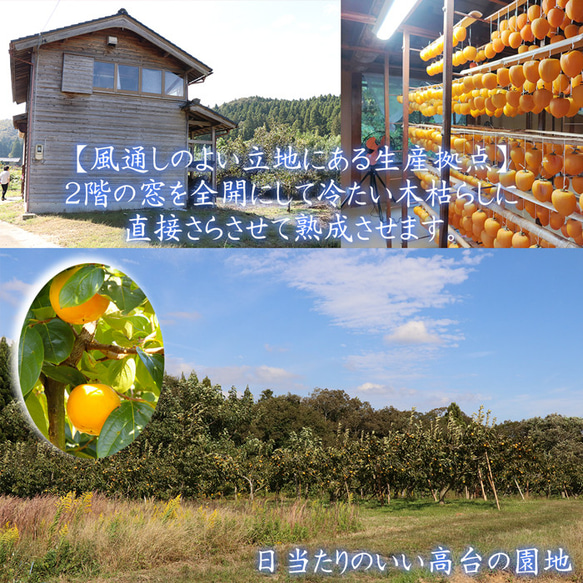 干し柿 柿 ころ柿 【500g】 能登 名産 石川県 志賀町 枯露柿 ほしがき ギフト お歳暮 御歳暮 送料無料 10枚目の画像