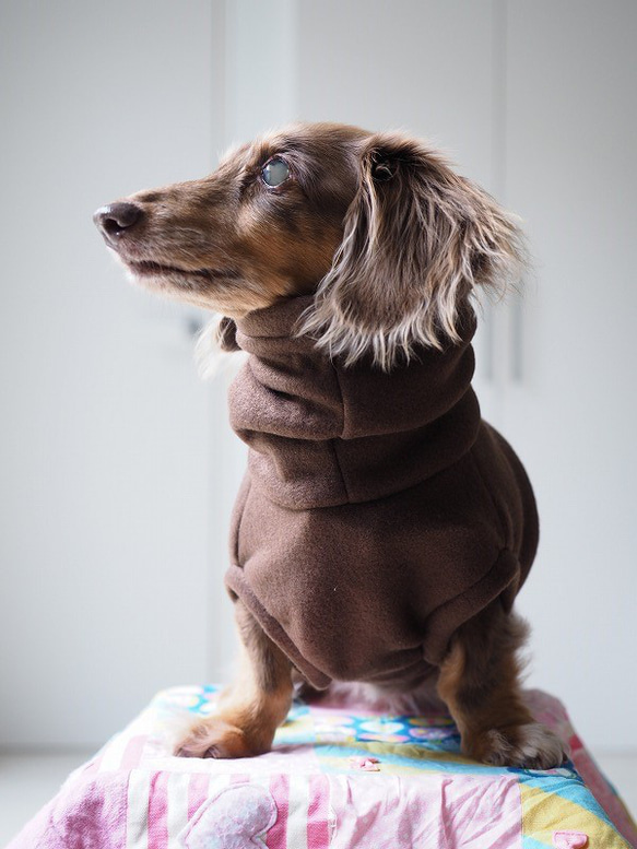犬服　背中切り替えハイネックタンクトップ　チョコレート×千鳥格子 5枚目の画像