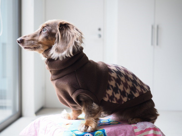 犬服　背中切り替えハイネックタンクトップ　チョコレート×千鳥格子 1枚目の画像