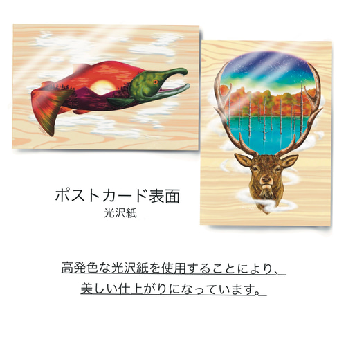 ポストカード【エゾオオカミ】／1枚 イラスト umetan-art 通販