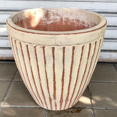 ピラミッド型 ツゲ トピアリー その他インテリア雑貨 PLANTS SHOP