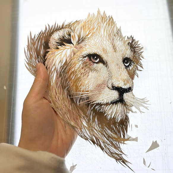 切り絵/リアルカラー「ライオン（マサラライオン）」25cm角/額ありorなし 4枚目の画像