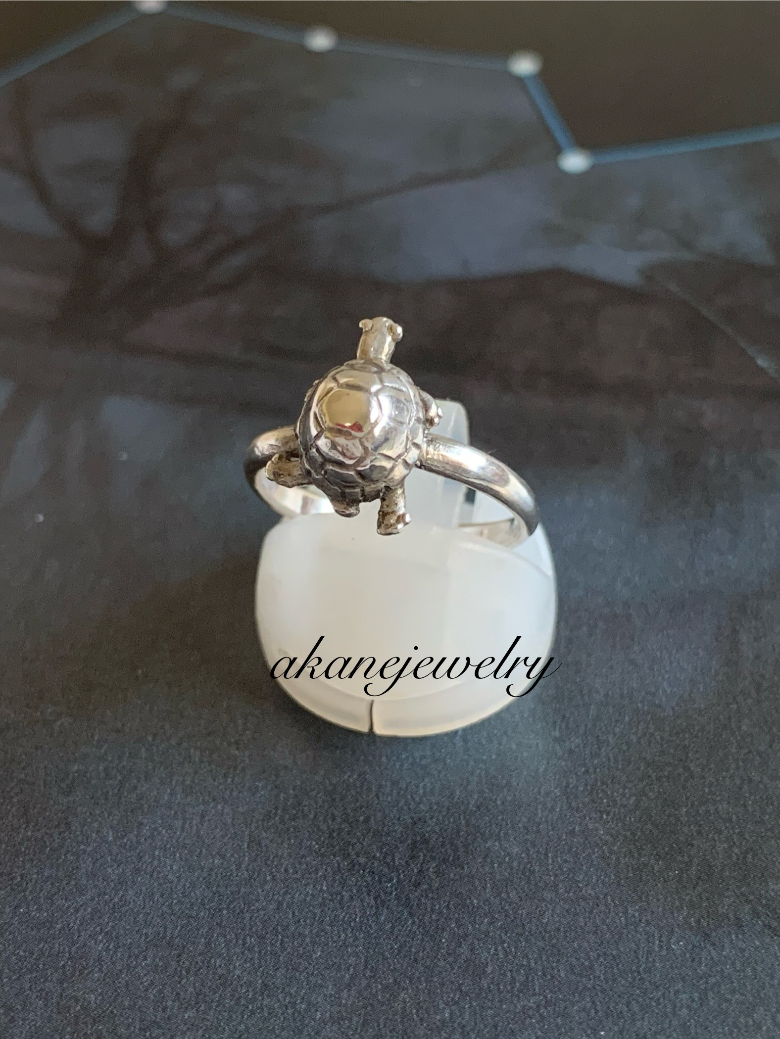 リクガメまっすぐリング