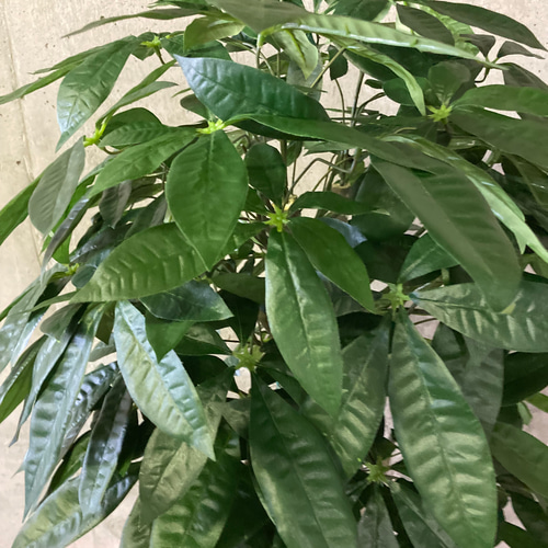 光触媒 人工観葉植物 ウォールグリーン フェイクグリーン パキラ下葉