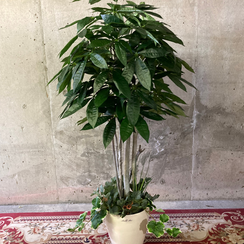 光触媒 人工観葉植物 ウォールグリーン フェイクグリーン パキラ下葉