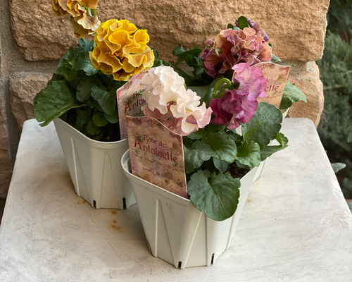 cce46e146e4cee190f690a03edc3ca