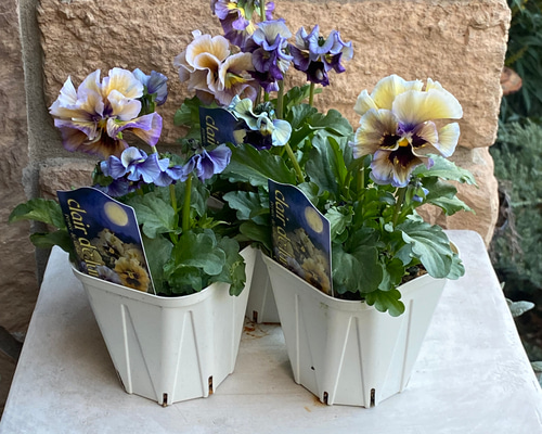 5178c24cf48ddfaa0e7fdcb86935af