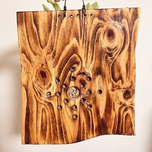 ビカクシダ ネザーランド コウモリラン 板付 観葉植物 室内 ne03