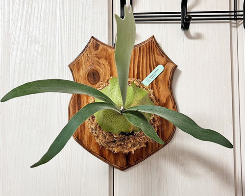 7fe32d4334411379b8aa6fa0b246d0