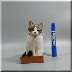 羊毛フェルト　猫　箱入りキジシロ猫さん　ねこ　ネコ　猫フィギュア 3枚目の画像