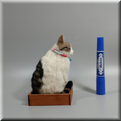 羊毛フェルト　猫　箱入りキジシロ猫さん　ねこ　ネコ　猫フィギュア 8枚目の画像