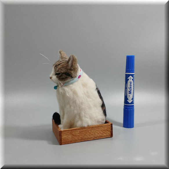 羊毛フェルト　猫　箱入りキジシロ猫さん　ねこ　ネコ　猫フィギュア 9枚目の画像