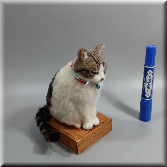 羊毛フェルト　猫　箱入りキジシロ猫さん　ねこ　ネコ　猫フィギュア 6枚目の画像