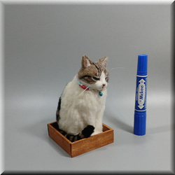 羊毛フェルト　猫　箱入りキジシロ猫さん　ねこ　ネコ　猫フィギュア 4枚目の画像