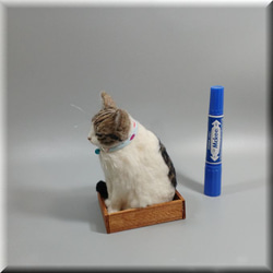 羊毛フェルト　猫　箱入りキジシロ猫さん　ねこ　ネコ　猫フィギュア 1枚目の画像