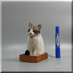 羊毛フェルト　猫　箱入りキジシロ猫さん　ねこ　ネコ　猫フィギュア 5枚目の画像