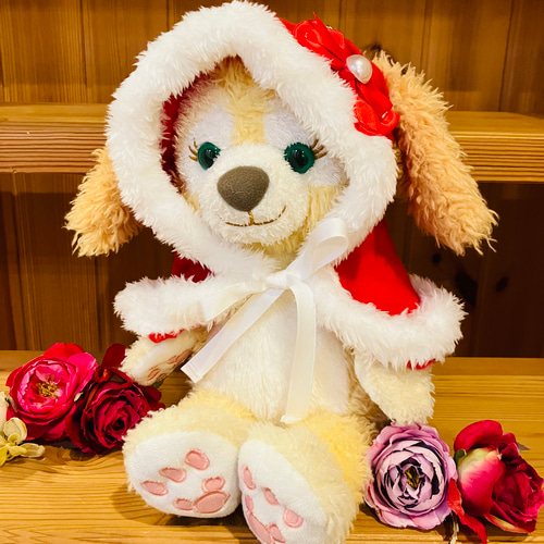 再販 リーナベル コスチューム リーナベルコスチューム クッキーアン