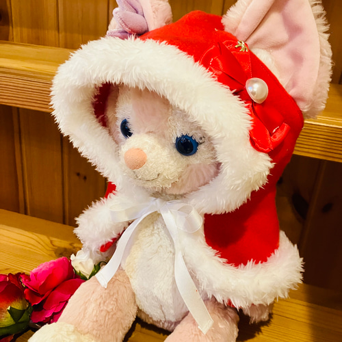 再販 リーナベル コスチューム リーナベルコスチューム クッキーアン