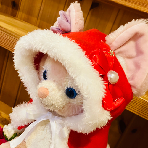 再販 リーナベル コスチューム リーナベルコスチューム クッキーアン