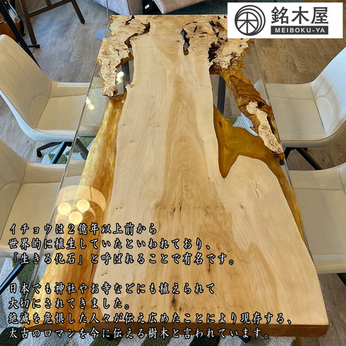 銀杏 イチョウ 一枚板 希少木材 天然木 ダイニングテーブル クリア