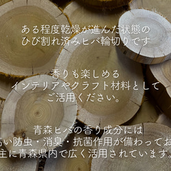 輪切りヒバ【厚さ約５センチ】【夏季バージョン】  ヒビあり ※サイズバリエーションあり　自然素材 ウェディング 什器 展 2枚目の画像