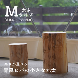 オーダーメイド木製水槽台製作例1 DXF-W1800-D600-H700-Pデザイン