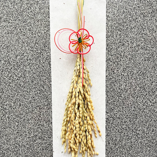 もにょ 【早割価格 】2021年✩.*˚ ドライフラワーいっぱい！ しめ縄 しめ飾り 日本製 しめ縄 おしゃれ ドライフラワー 2025年