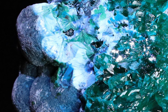 37g 天然 ダイオプテーズ シャッタカイト 唯一無二 『共生結晶美』 翠銅鉱 天然石 原石 鉱物 標本｜コンゴ産 9枚目の画像