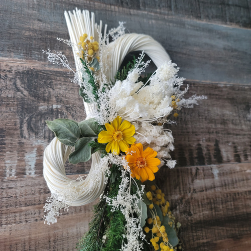 2024ミモザとジニアのしめ縄 お正月飾り 注連縄 しめ飾り しめ縄 丸藤