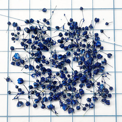 TUBOMI　Dロイヤルブルー　かすみ草　ドライフラワー  蕾　青　花材　染め 3枚目の画像