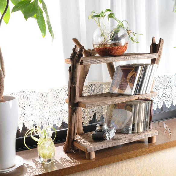 流木のCDラック105034 棚・シェルフ・ラック あづき 通販