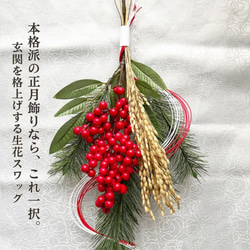 2025【亀】若松と昇り亀のお正月飾り 数量限定 稲穂 正月飾り しめ縄