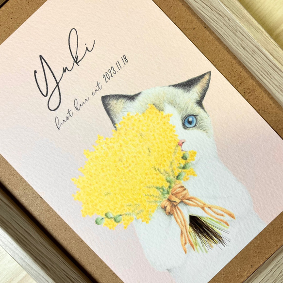 ファーストカットアート　猫とミモザ　ポストカードサイズ　2枚セット　名入れ無料　男の子　女の子　記念品　ベビー　 2枚目の画像