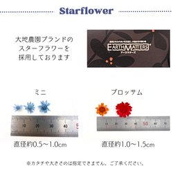 【 お花畑ミックス 】 かすみそう スターフラワー ドライフラワー 少量 ヘッドのみ 花材 レジン 材料 素材 花素材 9枚目の画像