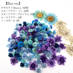 【 お花畑ミックス 】 かすみそう スターフラワー ドライフラワー 少量 ヘッドのみ 花材 レジン 材料 素材 花素材 6枚目の画像