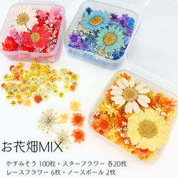 【 お花畑ミックス 】 かすみそう スターフラワー ドライフラワー 少量 ヘッドのみ 花材 レジン 材料 素材 花素材 1枚目の画像